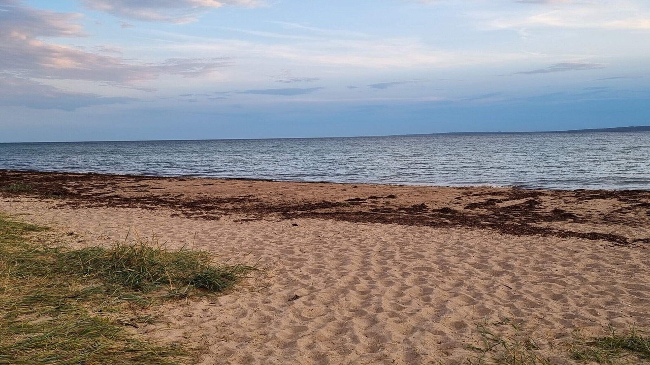 Photo of Others in Skødshoved Strand