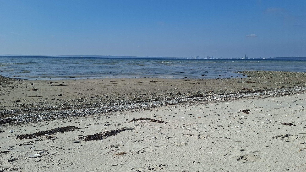 Photo of Others in Skødshoved Strand