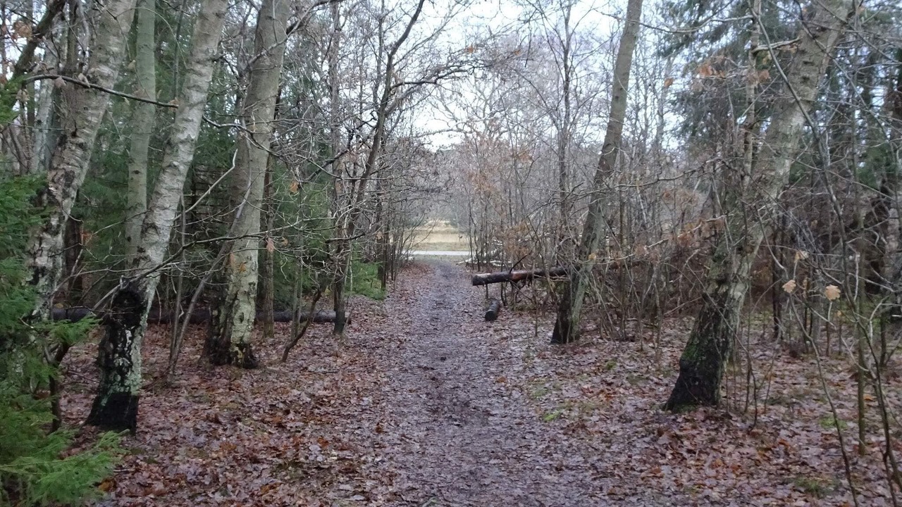 Photo of Others in Udsholt