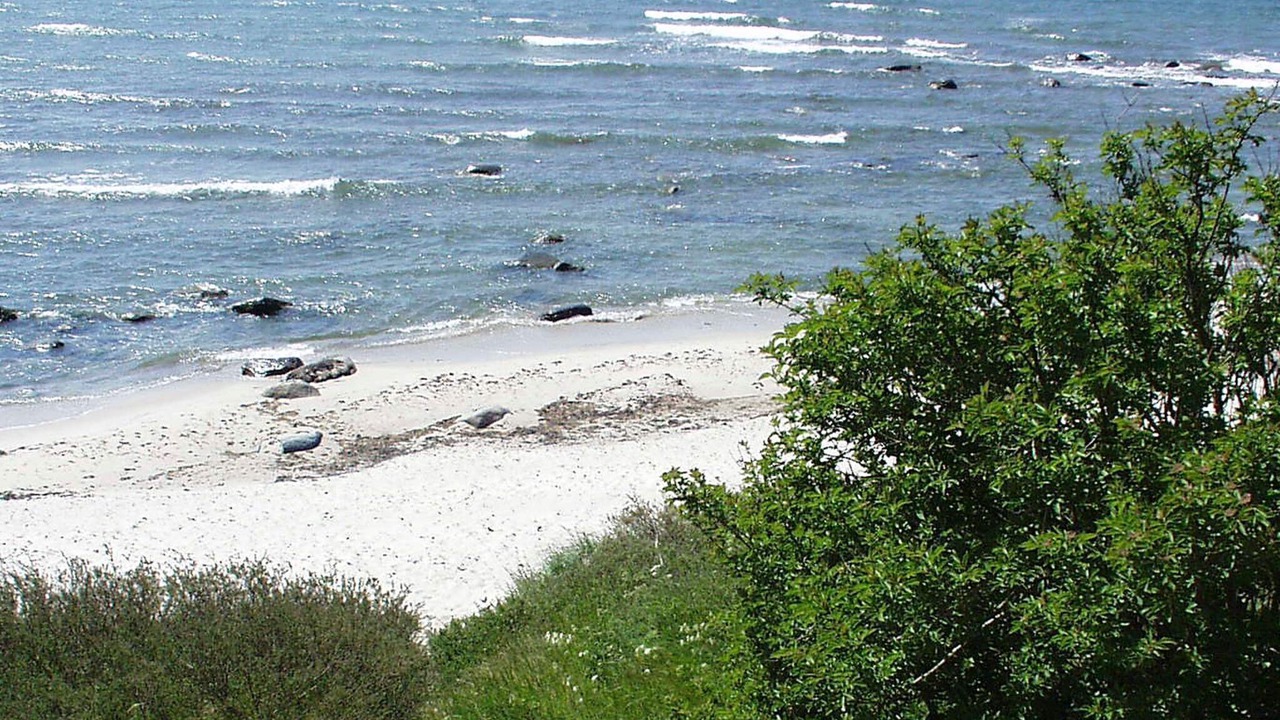 Photo of Others in Oster Somarken