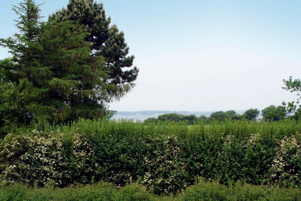 Photo of Outdoor in Vemmenæs