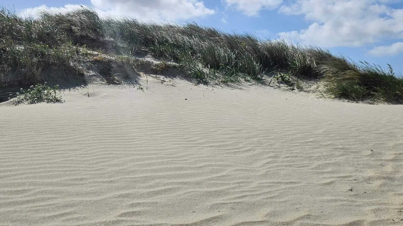 Photo of Others in Rindby Strand