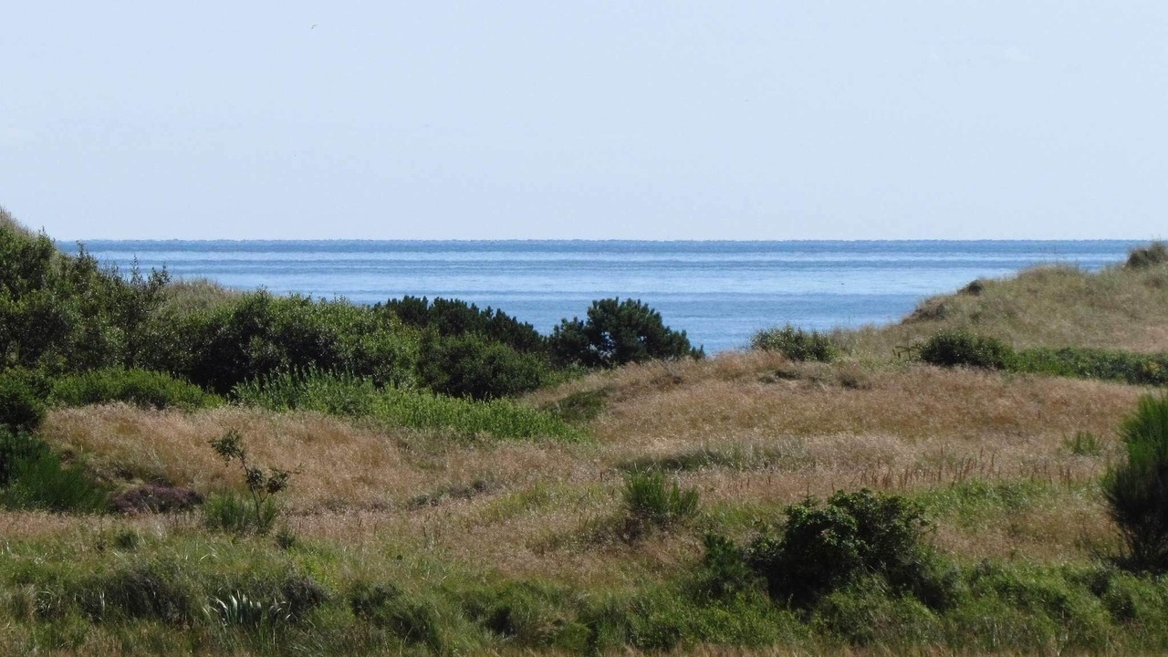 Photo of Others in Hulsig