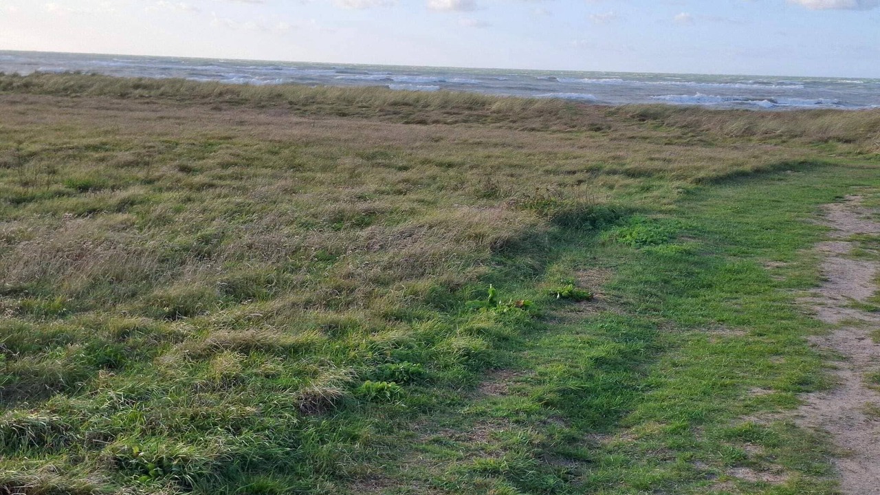 Photo of Others in Skram