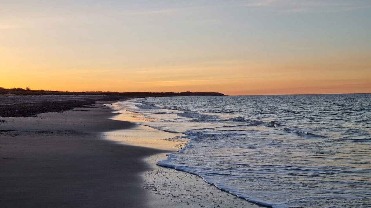 Photo of Others in Torup Strand