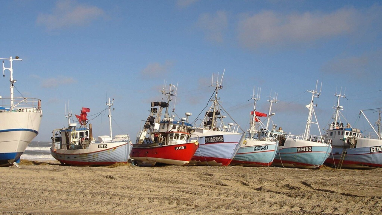 Photo of Others in Torup Strand