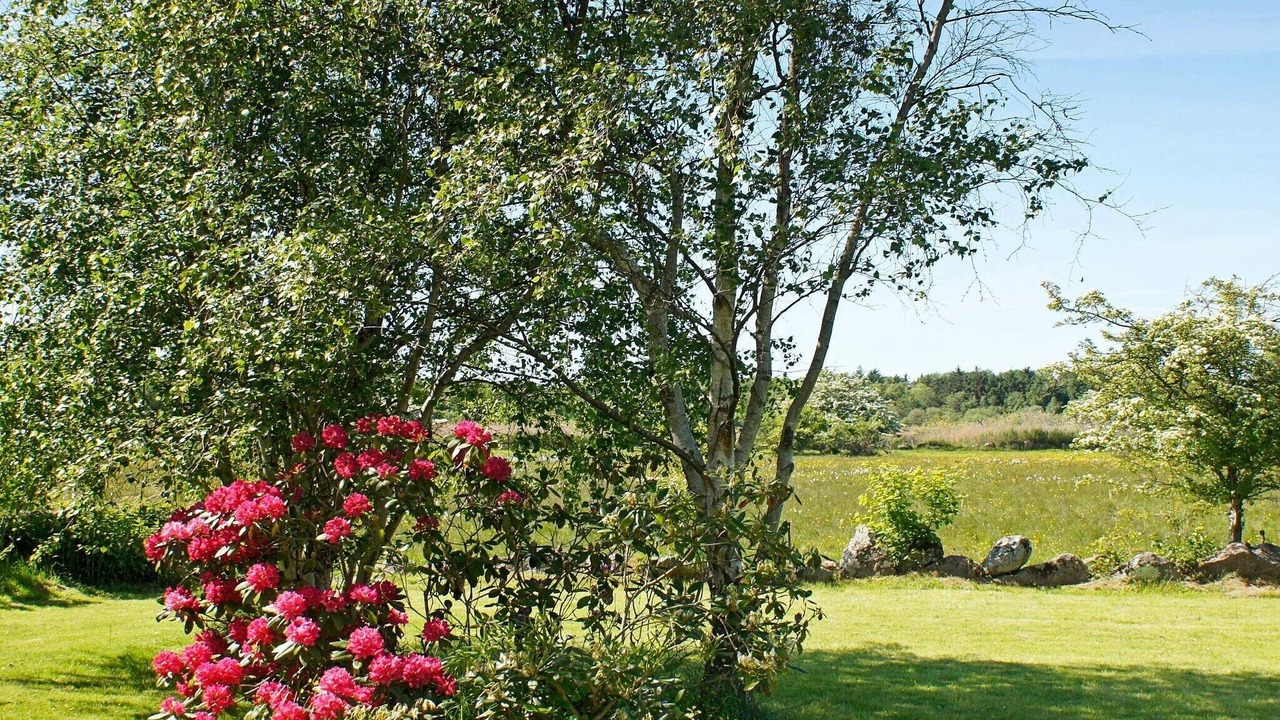 Photo of Outdoor in Ristinge