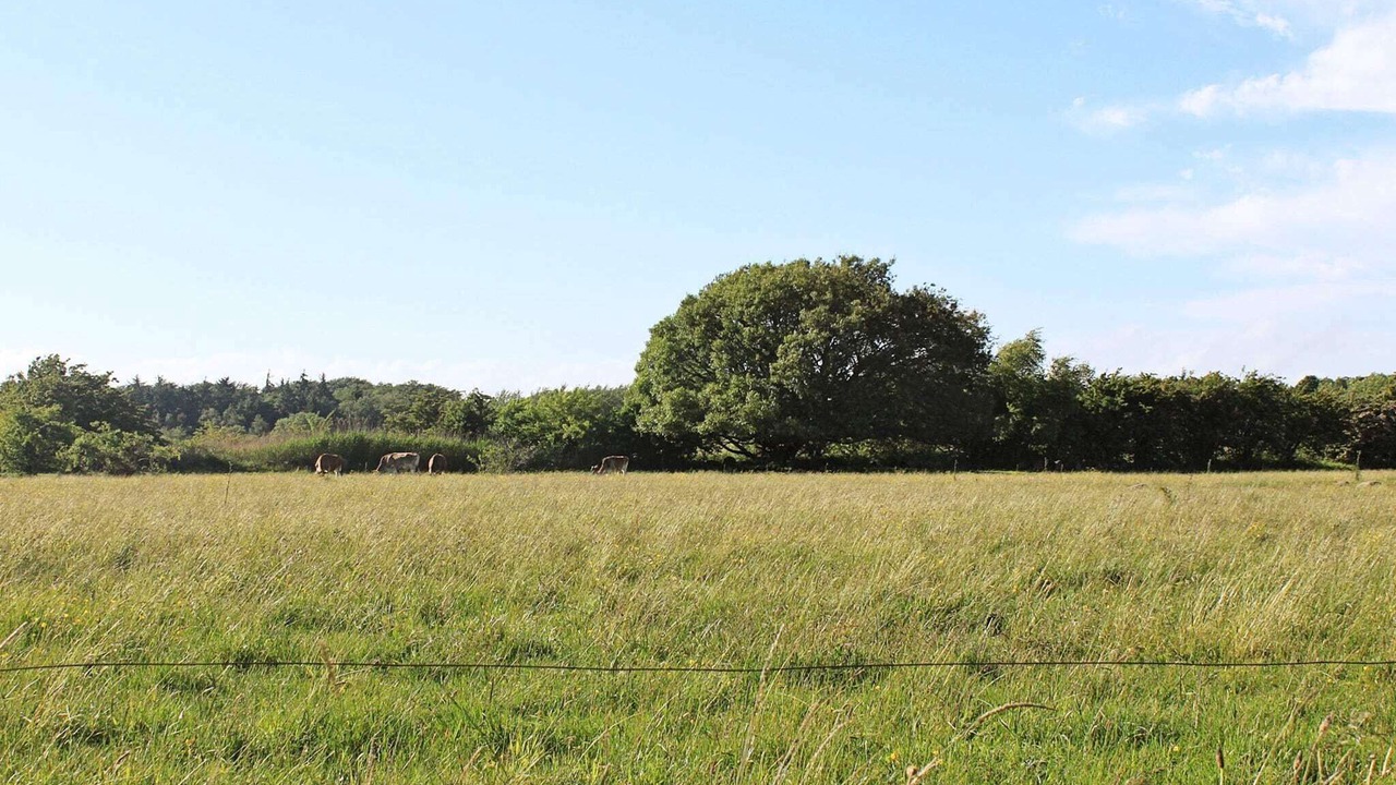 Photo of Others in Ristinge
