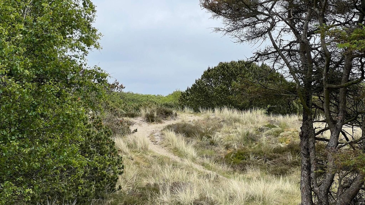 Photo of Others in Sønderho