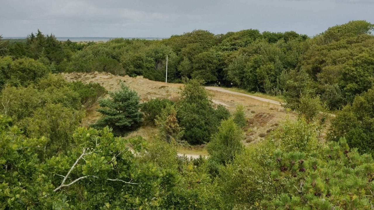 Photo of Others in Sønderho