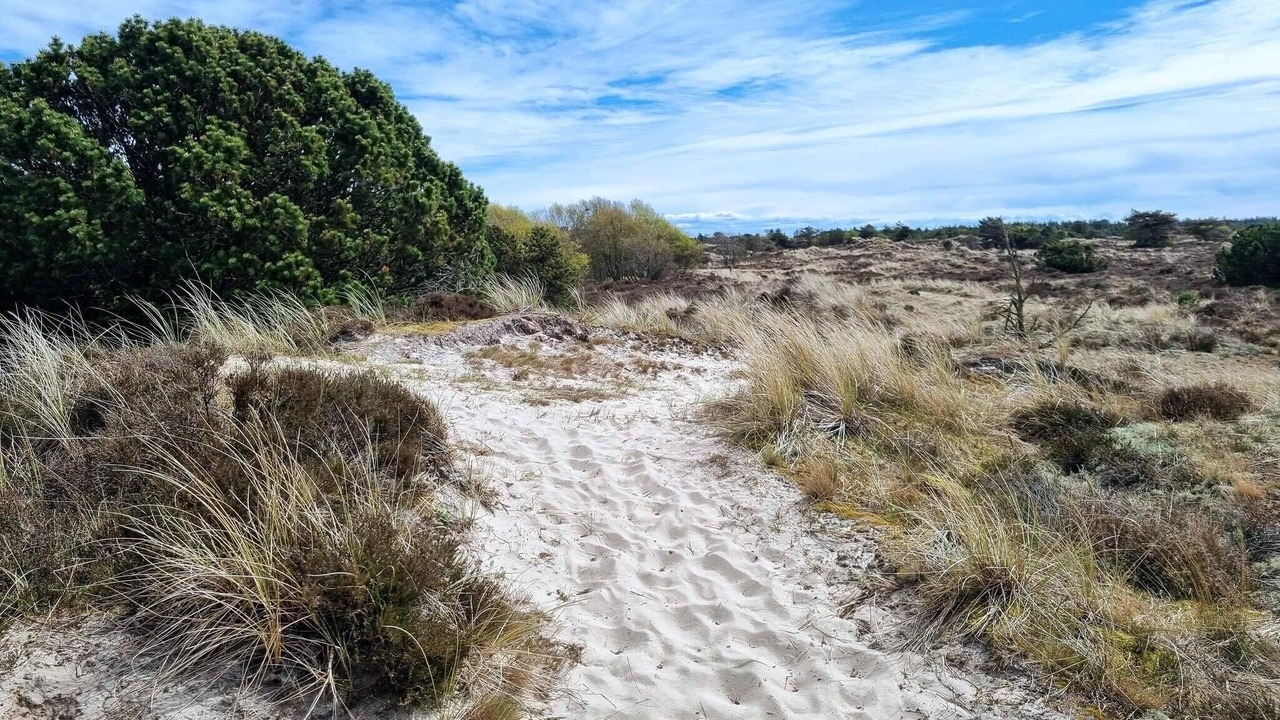 Photo of Others in Sønderho