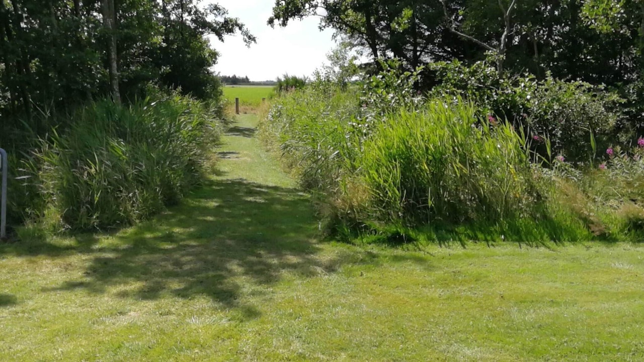 Photo of Outdoor in Bork Havn