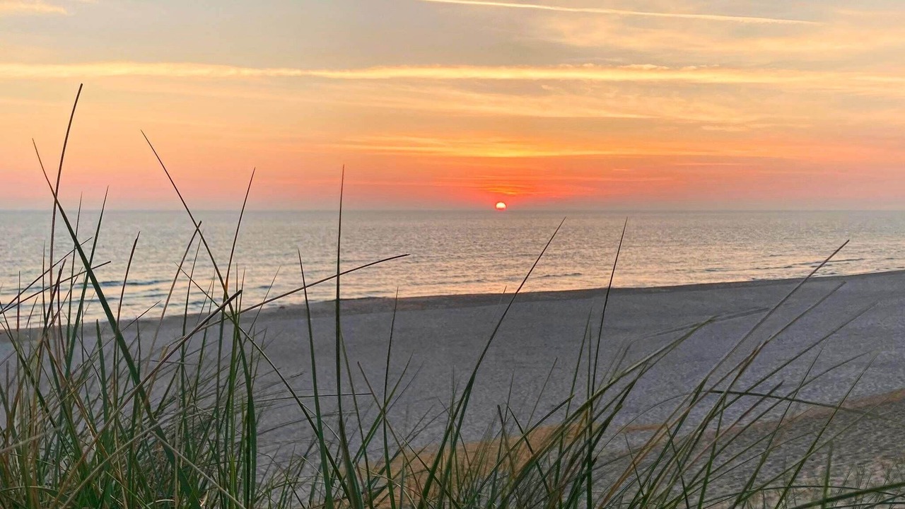 Photo of Others in Lodbjerg Hede