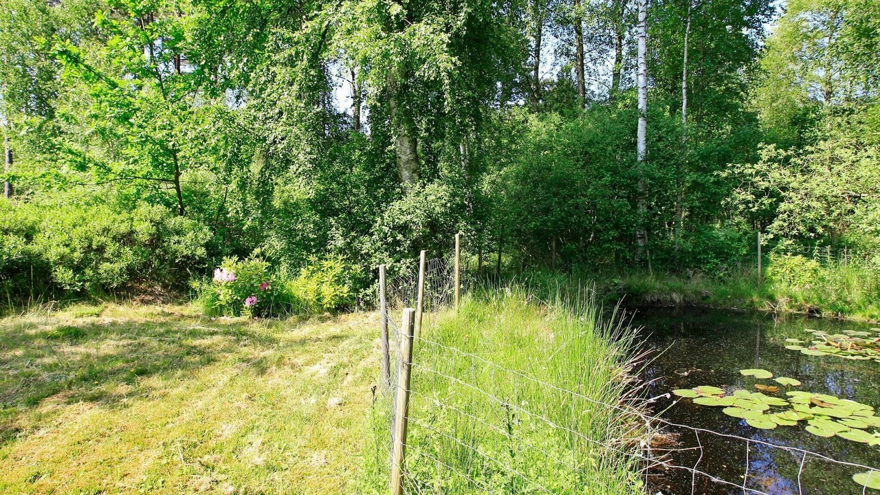 Photo of Others in Nordost