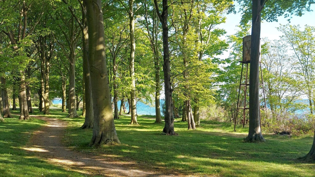 Photo of Outdoor in Nysted