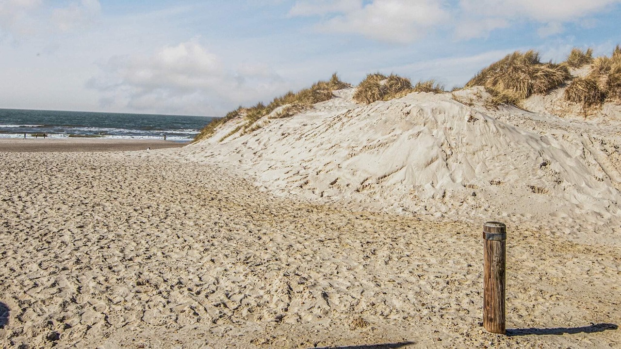 Photo of Others in Henne Strand