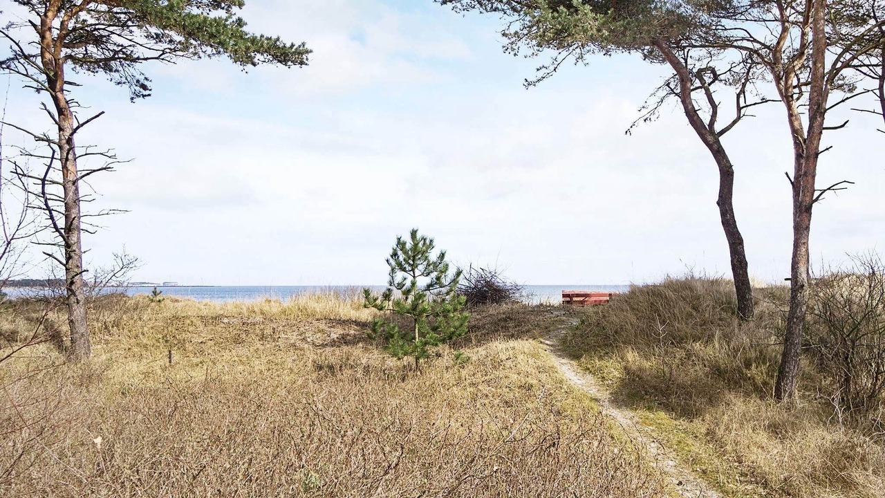 Photo of Others in Balka Strand