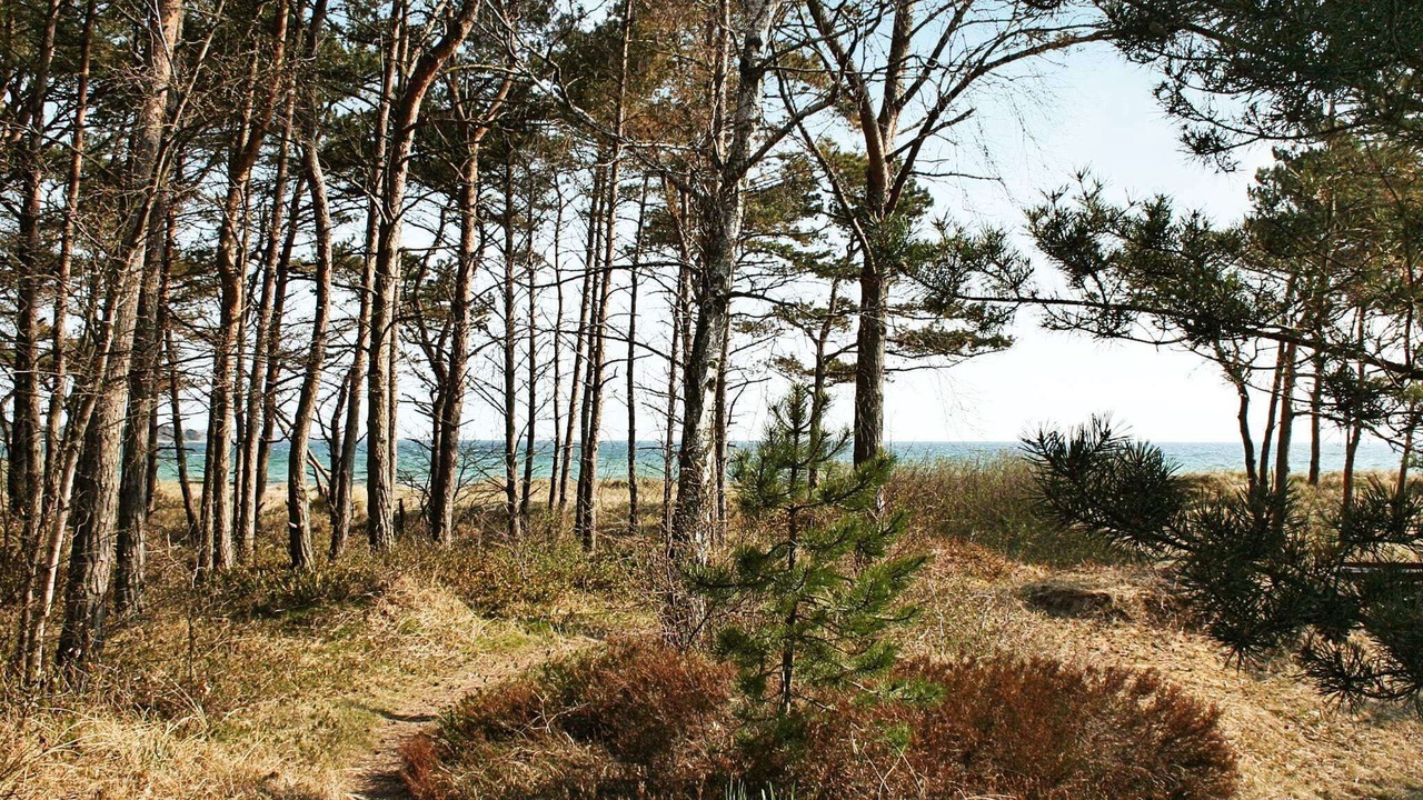 Photo of Others in Balka Strand