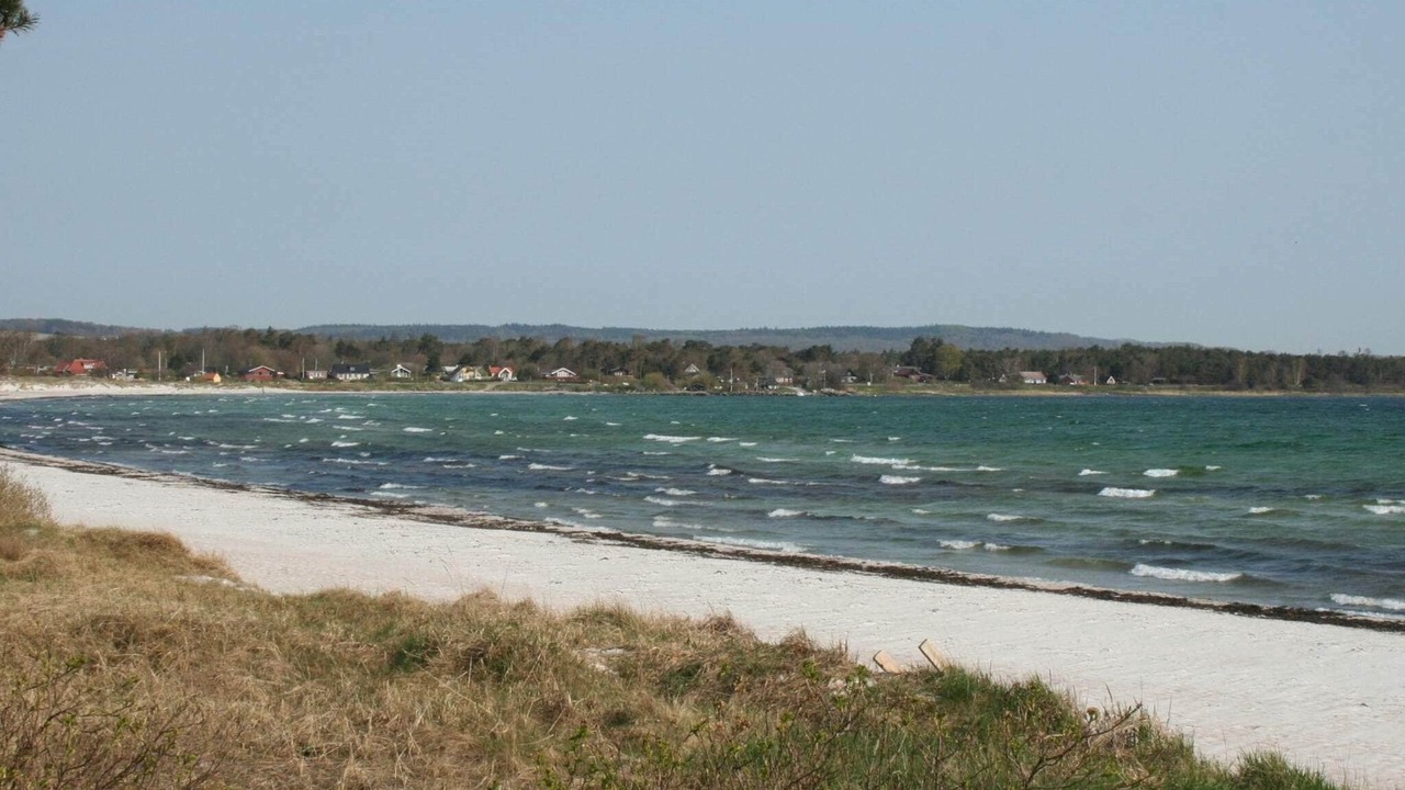 Photo of Others in Balka Strand