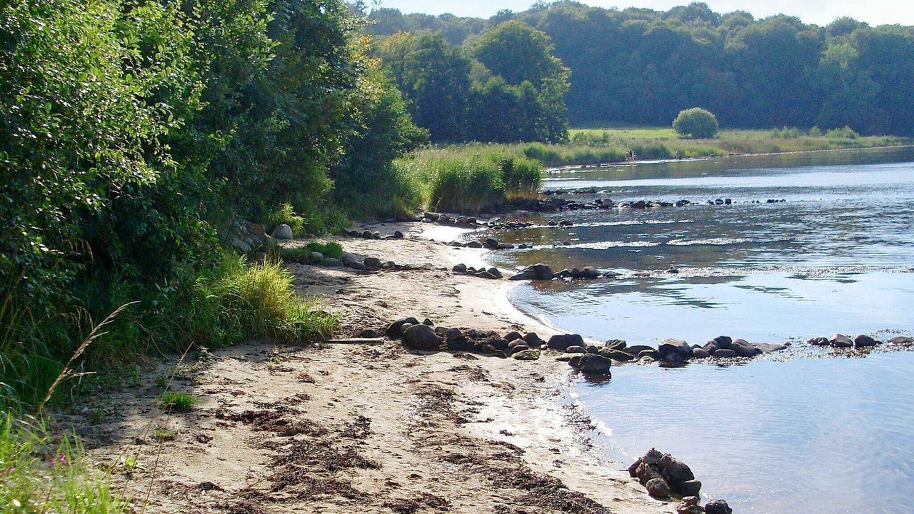 Photo of Outdoor in Andkær Vig