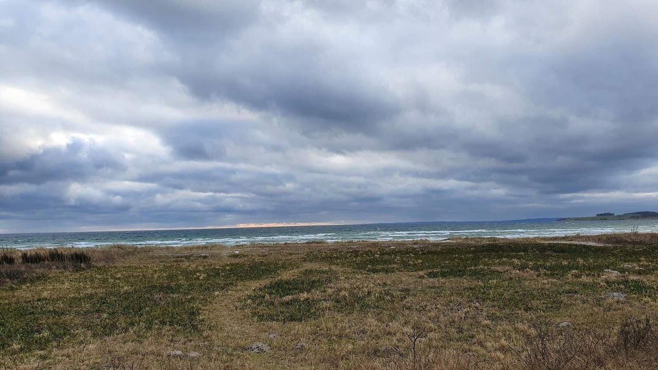 Photo of Others in Vibæk Strand
