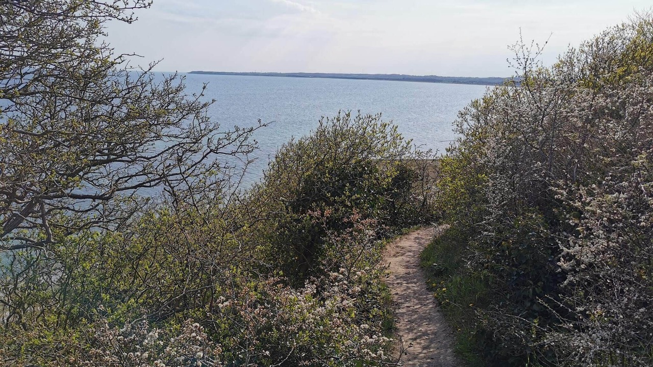 Photo of Others in Vibæk Strand