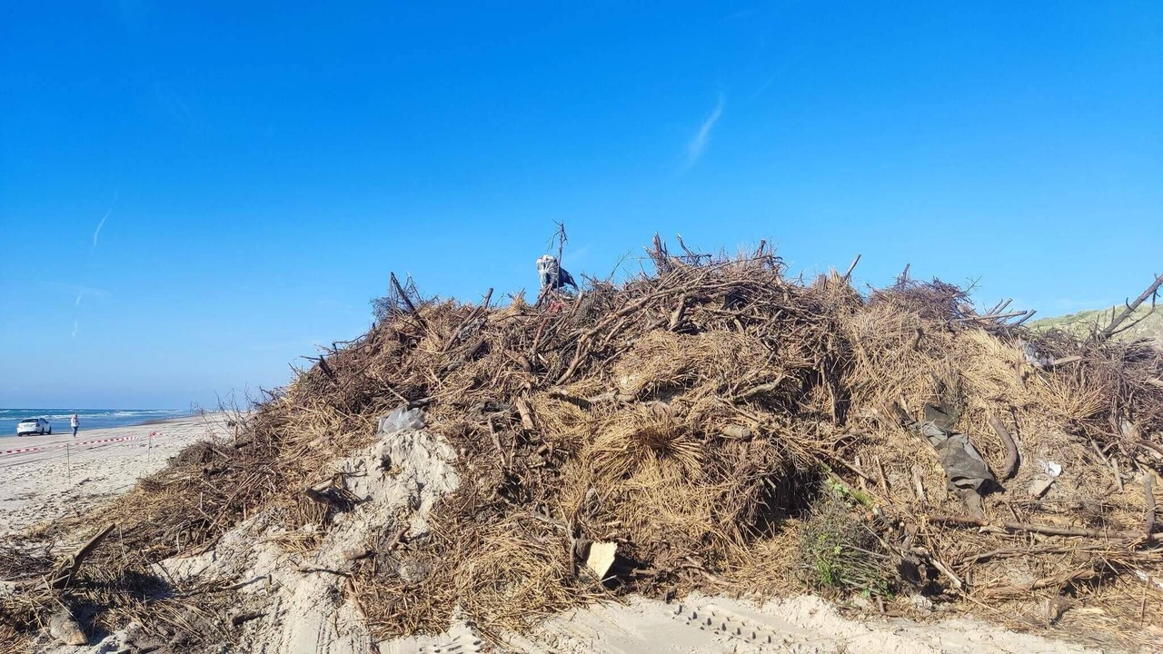 Photo of Others in Grønhøj