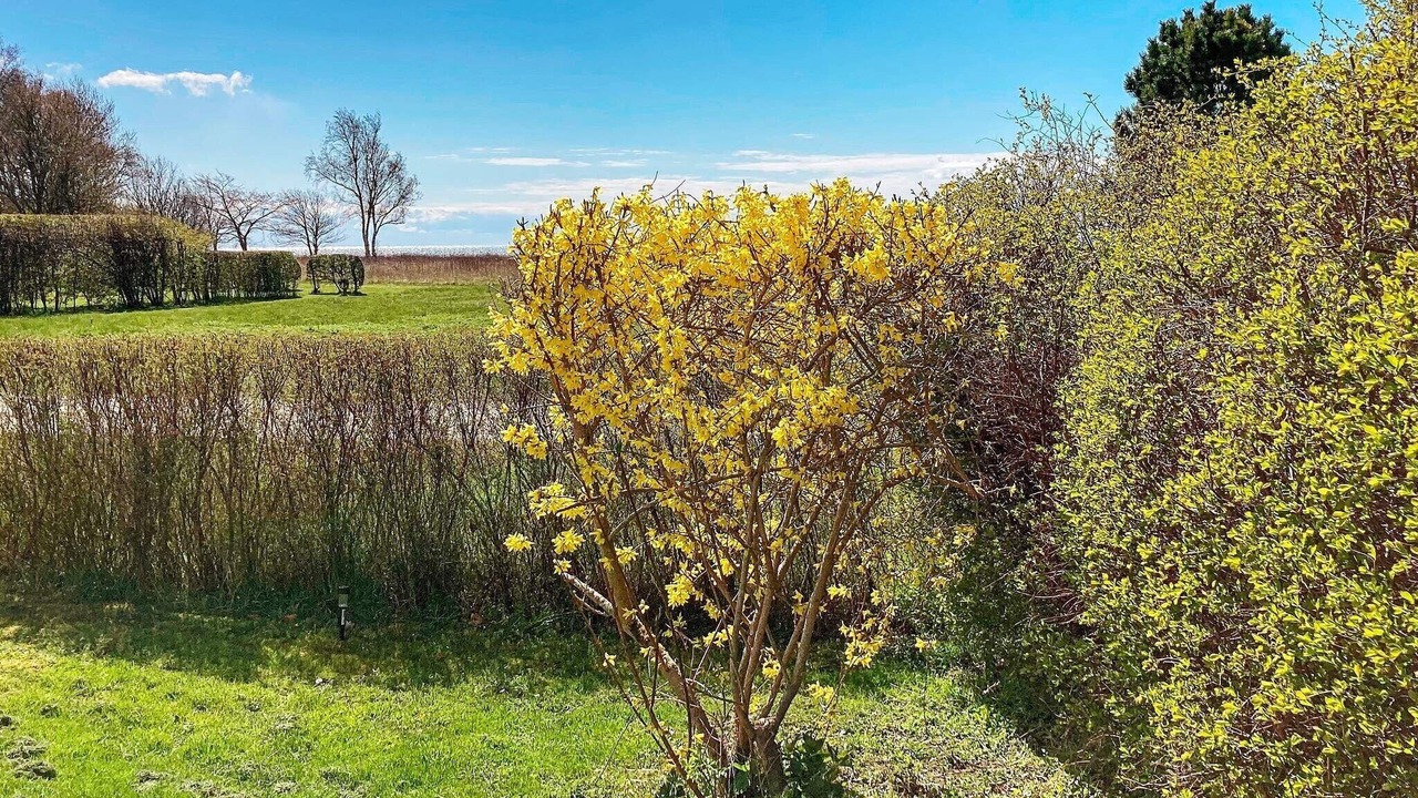 Photo of Outdoor in Nysted