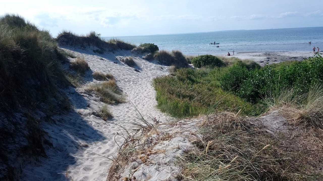 Photo of Others in Læsø