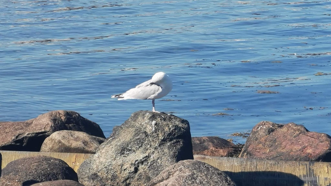 Photo of Others in Frørup