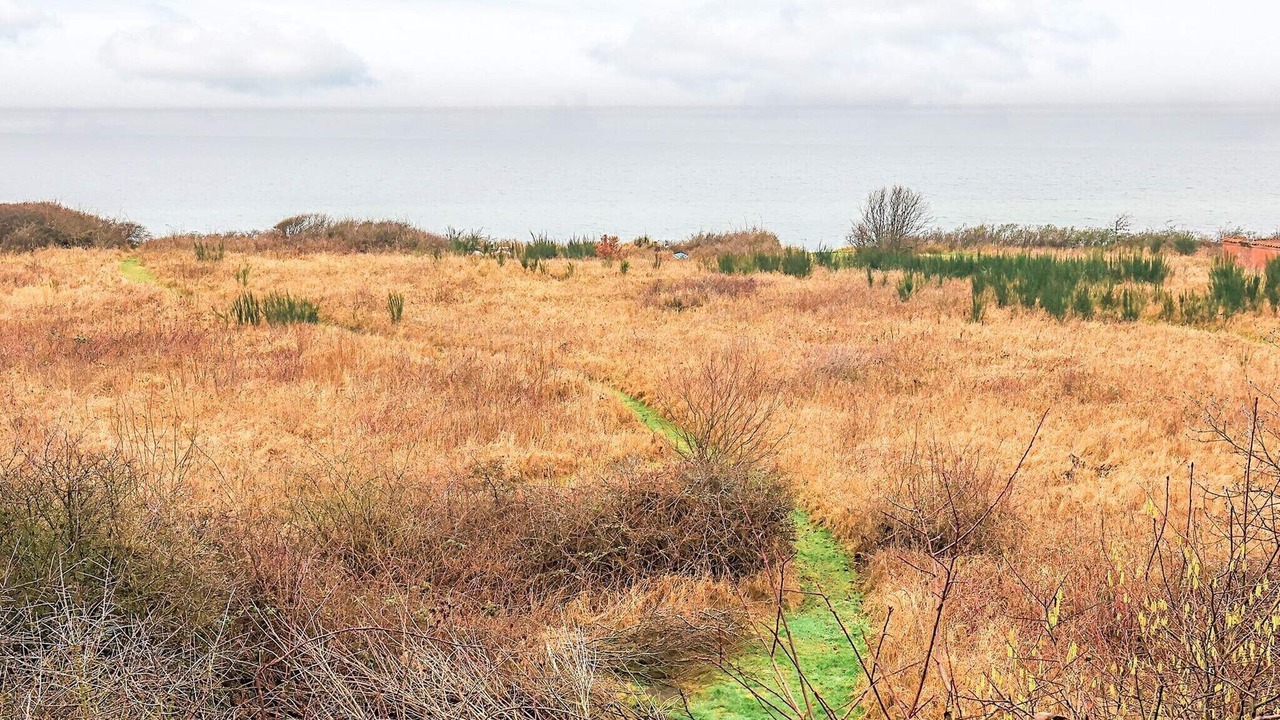 Photo of Others in Hoeve Strand