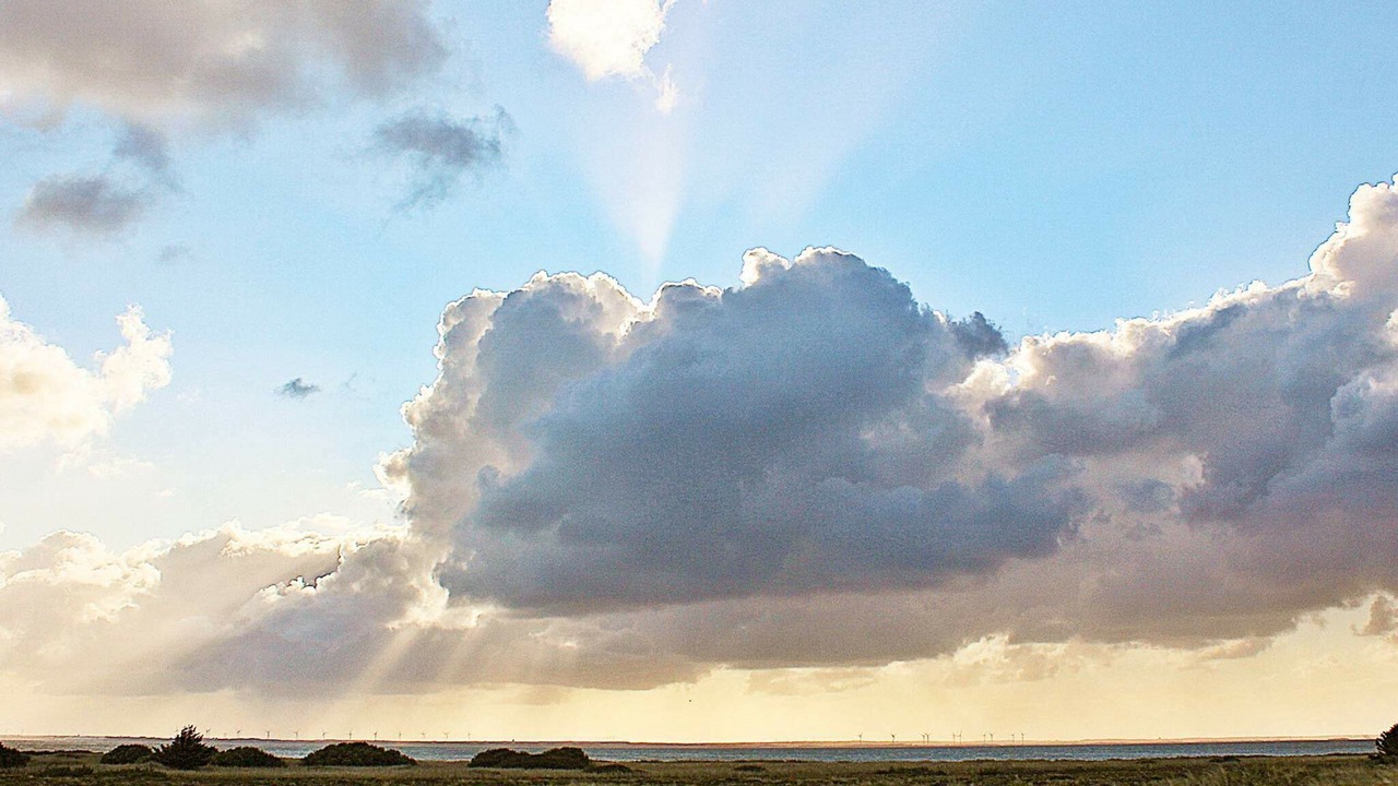 Photo of Others in Hvide Sande