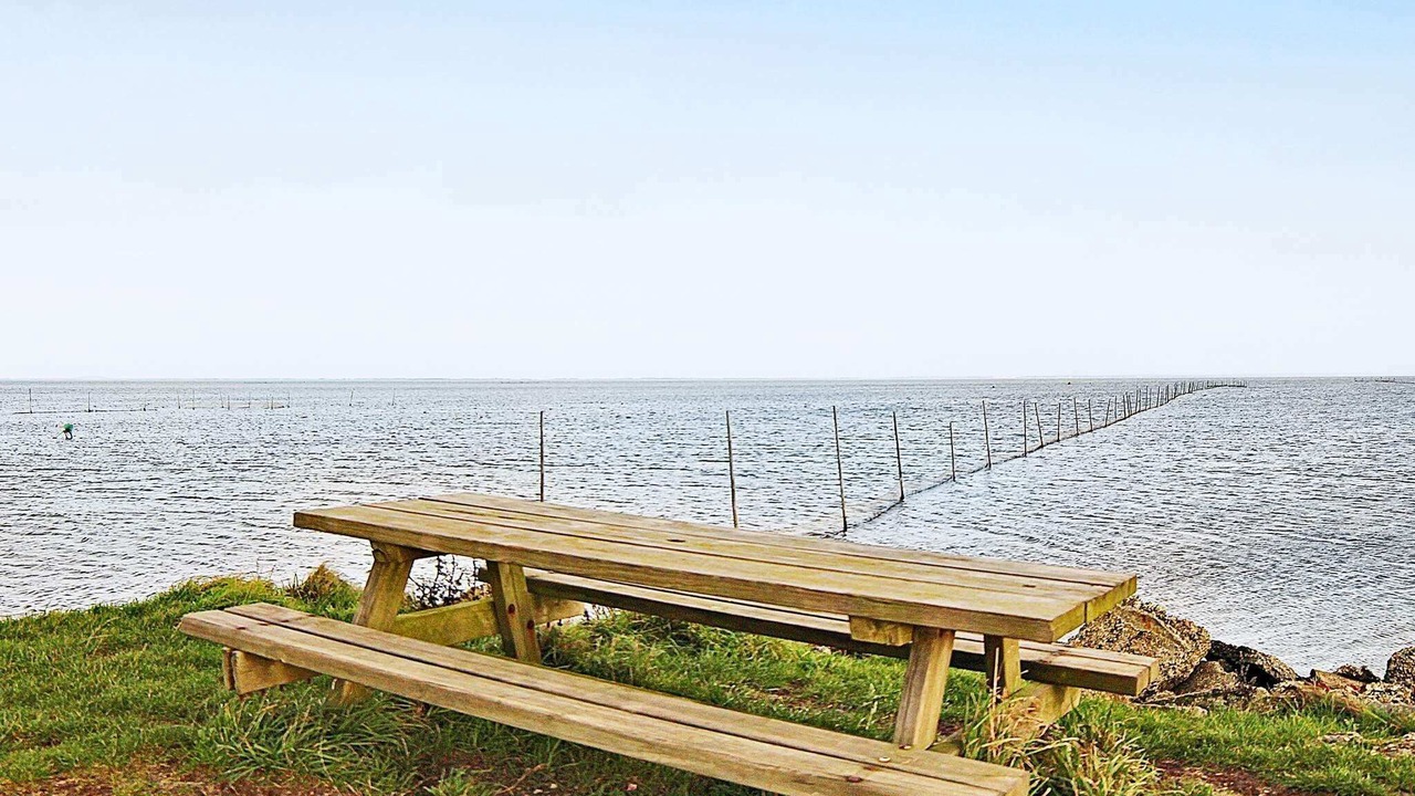 Photo of Others in Hvide Sande