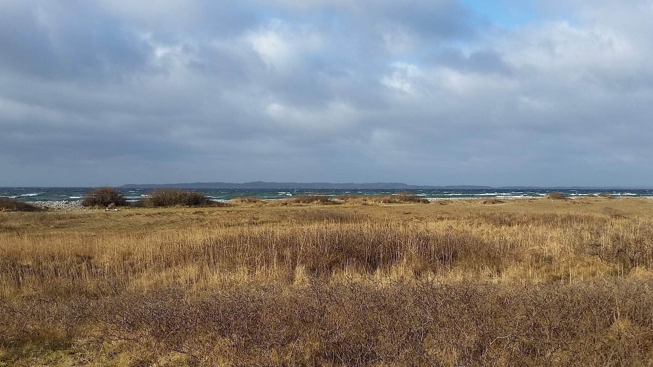 Photo of Others in Øer Strand