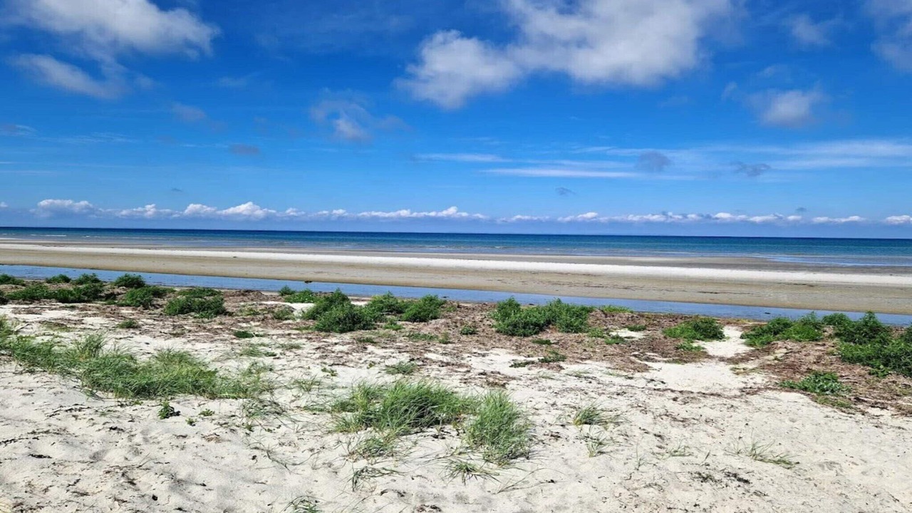 Photo of Others in Skødshoved Strand