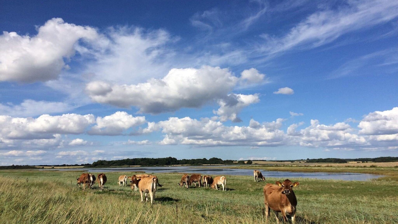 Photo of Others in Næs
