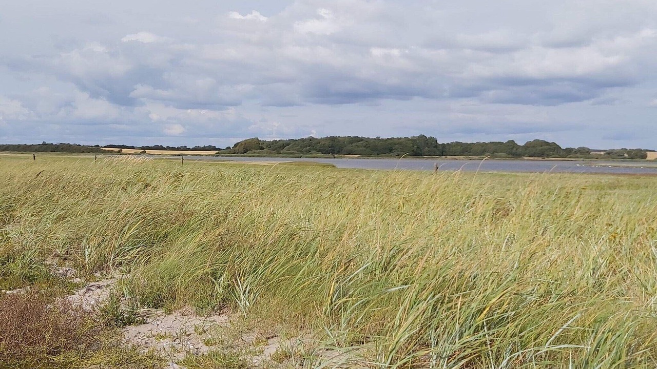 Photo of Others in Næs