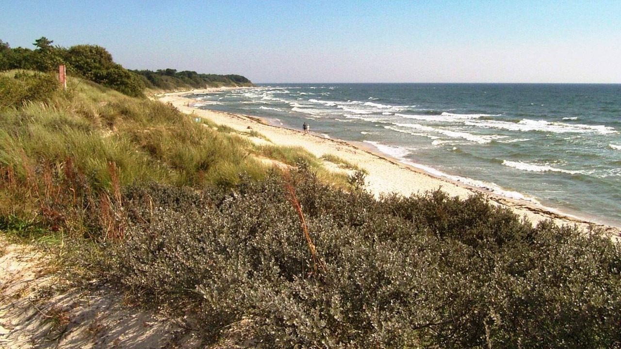Photo of Others in Oster Somarken