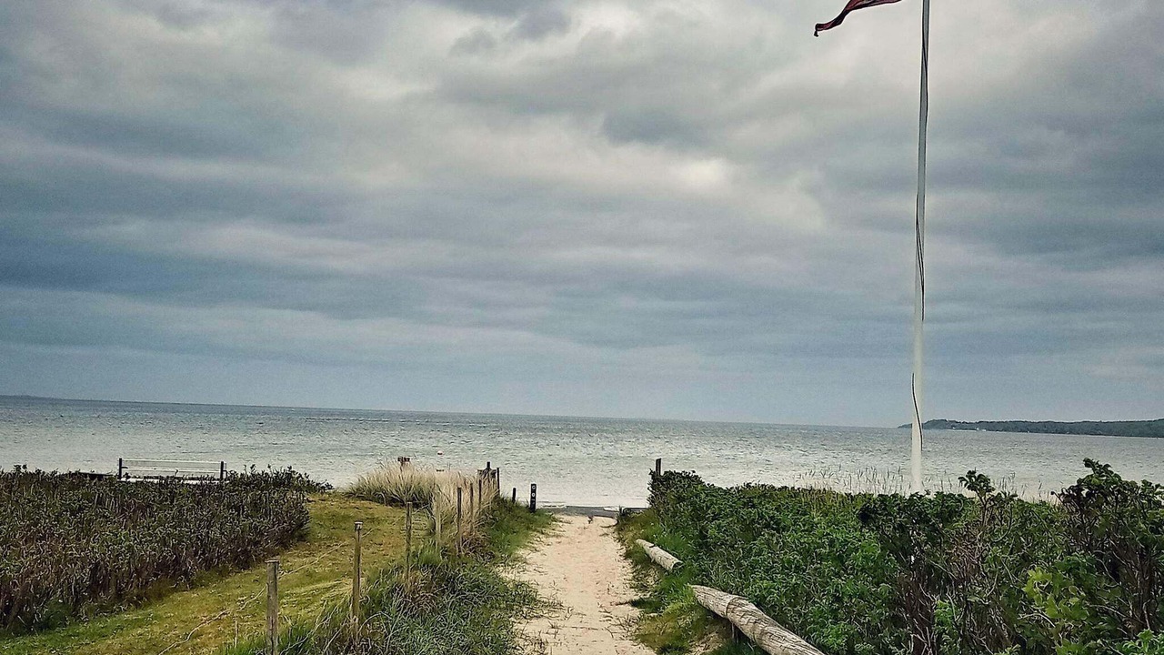 Photo of Others in Hvidbjerg Strand