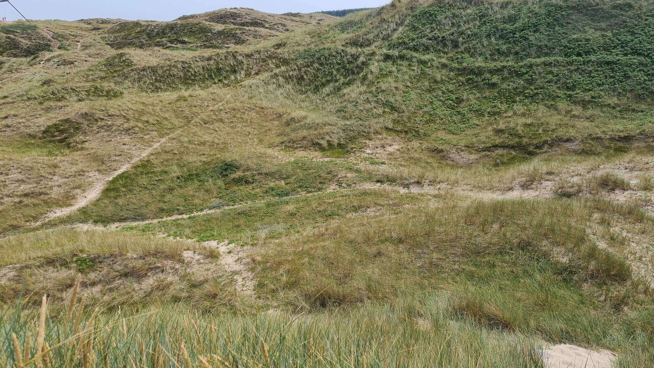 Photo of Others in Skagen