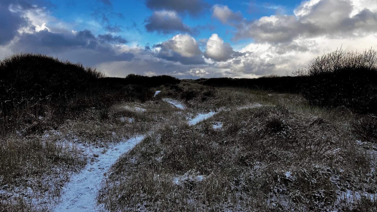 Photo of Others in Skagen