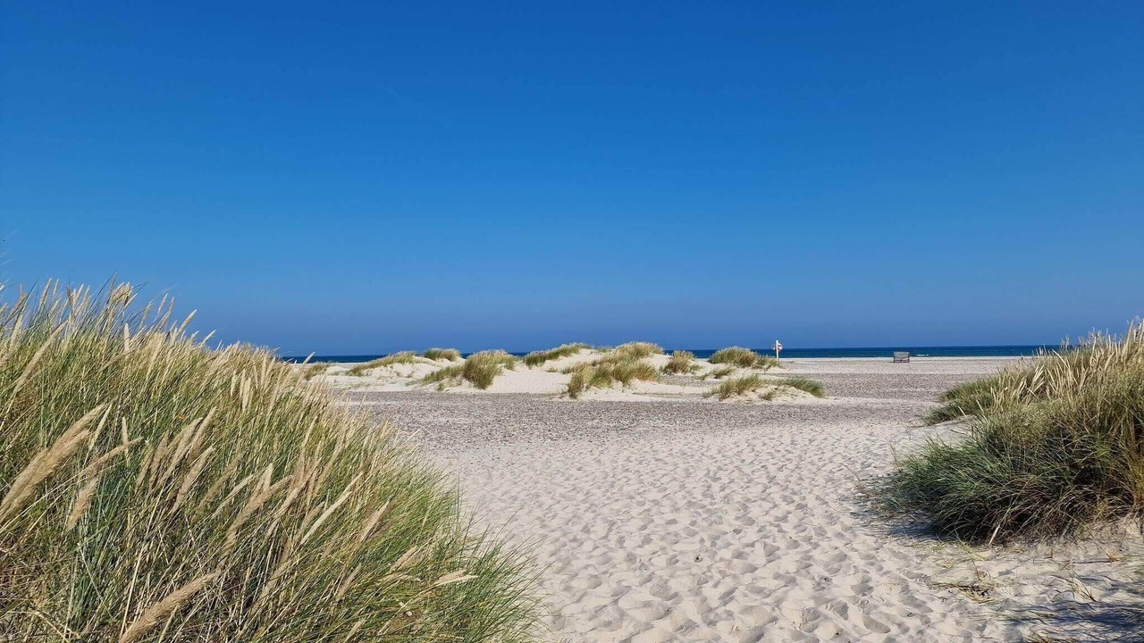 Photo of Others in Skagen