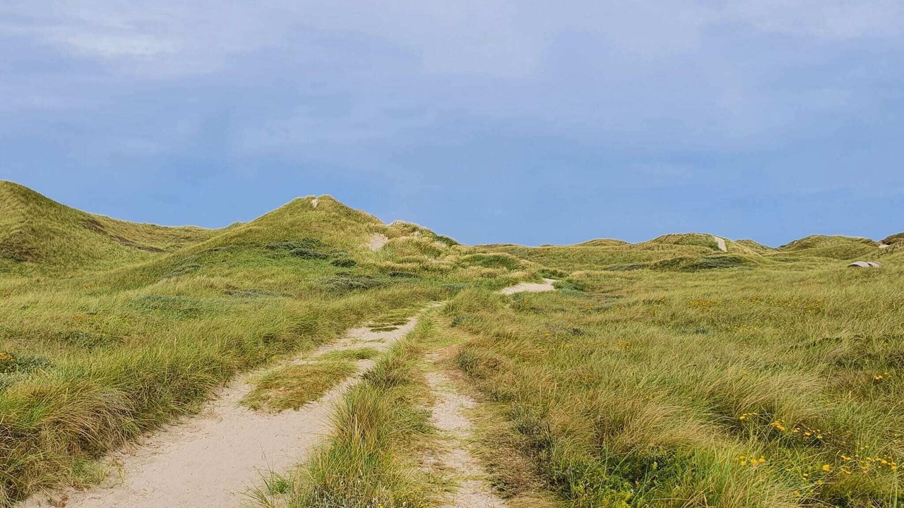 Photo of Others in Øby
