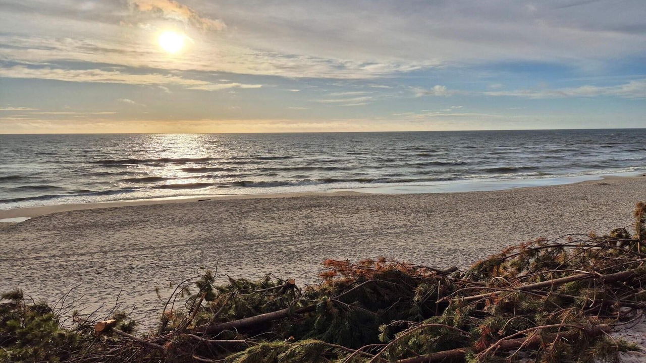 Photo of Others in Øby