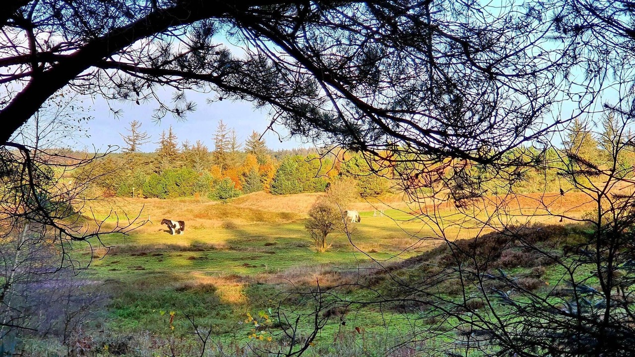 Photo of Others in Fjerritslev
