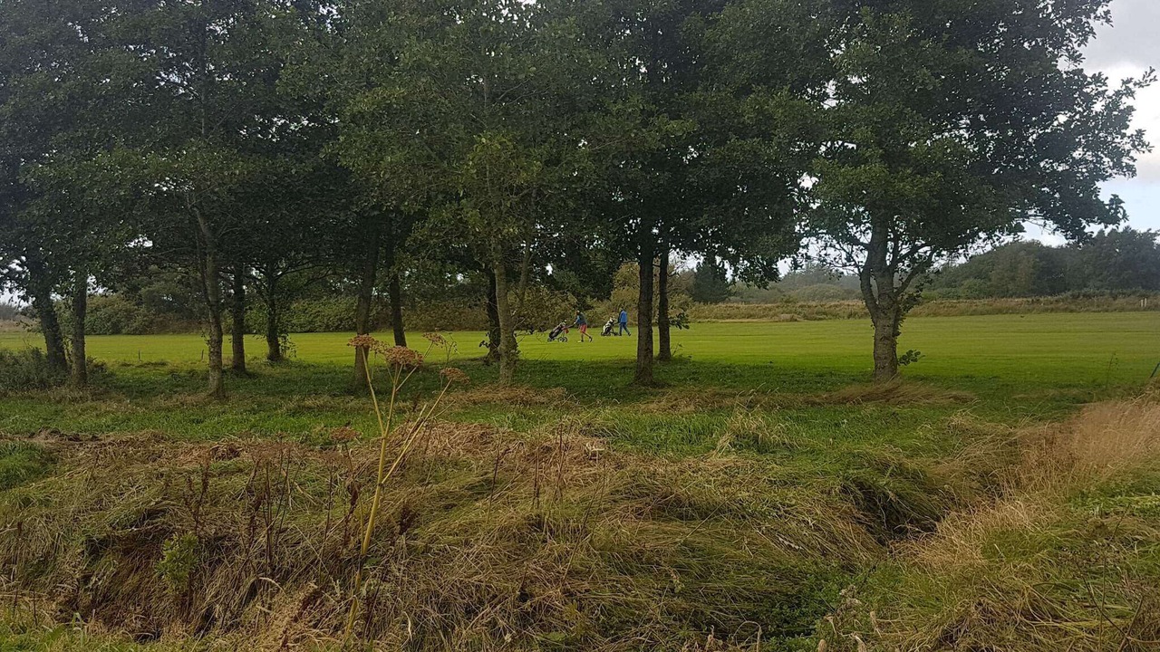 Photo of Others in Fjerritslev