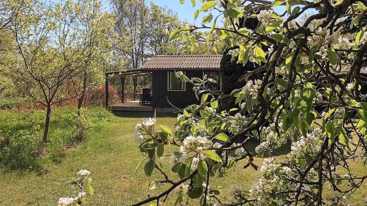 Photo of Outdoor in Læsø