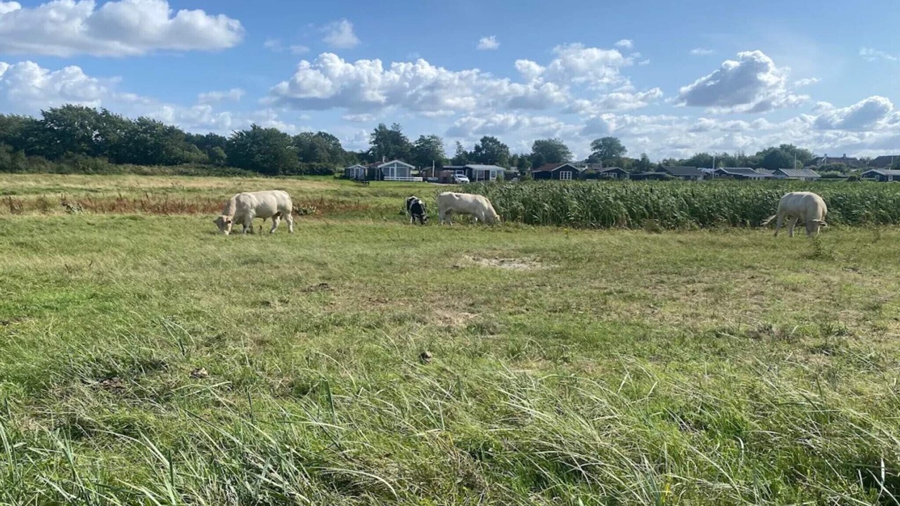 Photo of Others in Nordborg