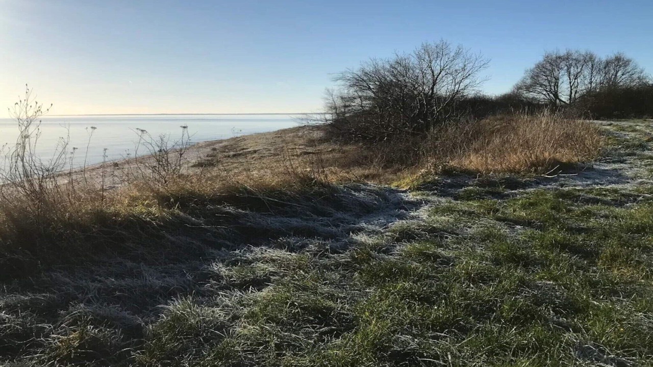 Photo of Others in Bøtø By