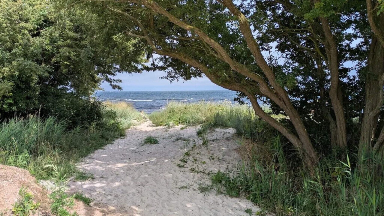Photo of Others in Bøtø By